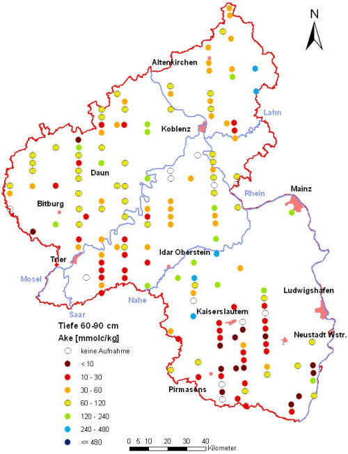 Landesweite Übersichtskarte Rheinland-Pfalz der BZE II, Austauschbare Kationen AKe (AKt) (Mineralboden, Tiefenstufe 60-90 cm; ökochemische Klassen)