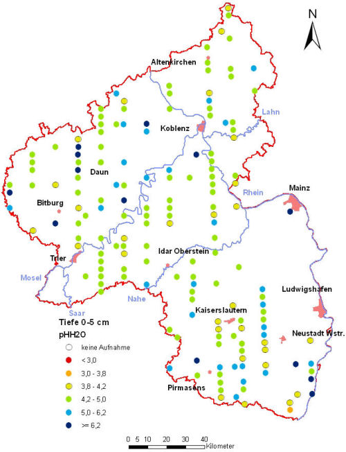 Landesweite Übersichtskarte Rheinland-Pfalz der BZE II, pH-Werte pH H2O (Mineralboden, Tiefenstufe 0-5 cm; ökochemische Klassen)
