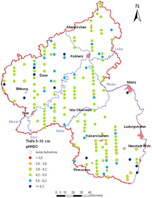 Landesweite Übersichtskarte Rheinland-Pfalz der BZE II, pH-Werte pH H2O (Mineralboden, Tiefenstufe 5-10 cm; ökochemische Klassen)