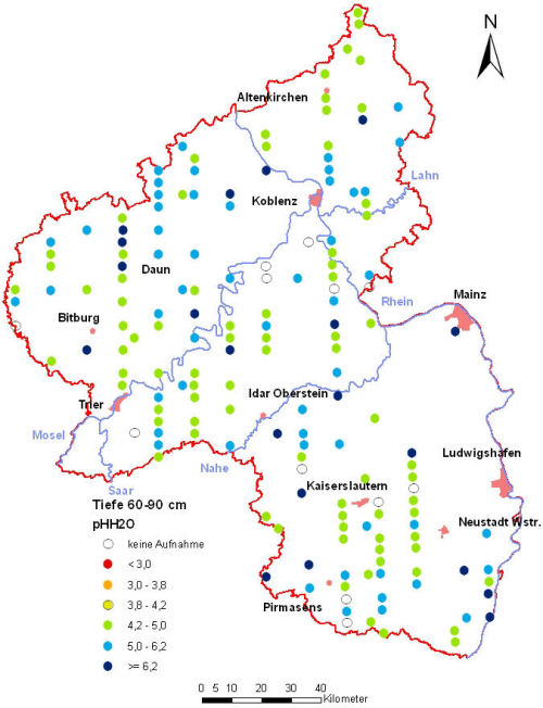Landesweite Übersichtskarte Rheinland-Pfalz der BZE II, pH-Werte pH H2O (Mineralboden, Tiefenstufe 60-90 cm; ökochemische Klassen)