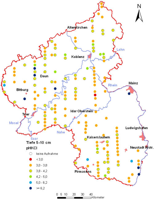 Landesweite Übersichtskarte Rheinland-Pfalz der BZE II, pH-Werte pH KCl (Mineralboden, Tiefenstufe 5-10 cm; ökochemische Klassen)