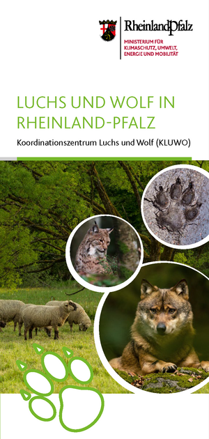 Luchs und Wolf in Rheinland-Pfalz