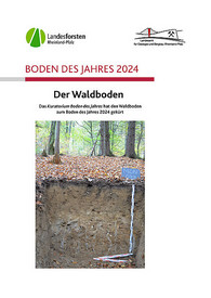 Boden des Jahres 2024 ist der Waldboden