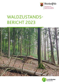 Waldzustandsbericht 2023 