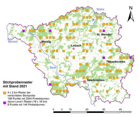 Stichprobenraster der Waldzustandserhebung im Saarland