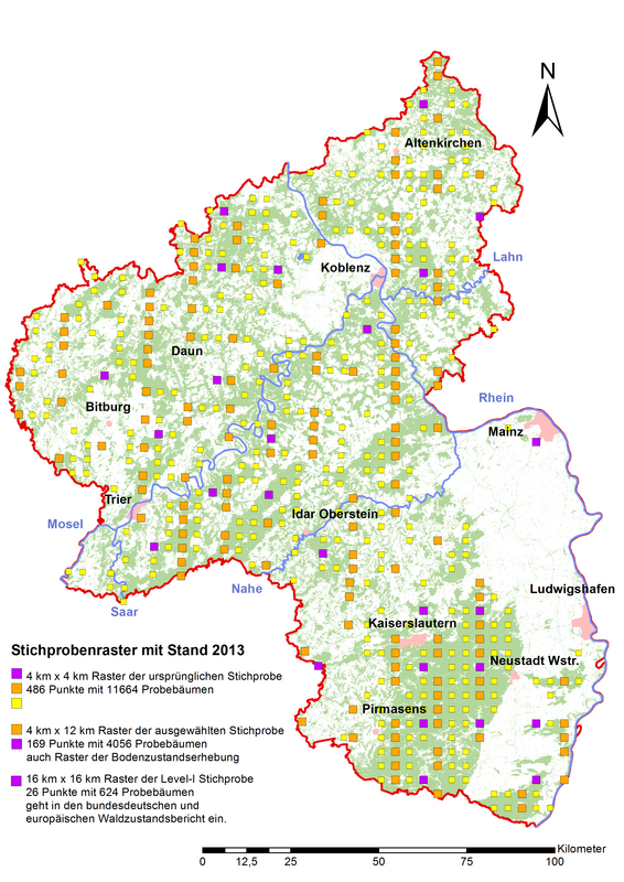 Karte von Rheinland-Pfalz mit dem Stichprobenraster Stand 2013